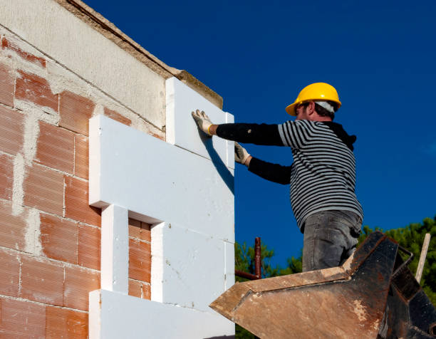 Best Cellulose Insulation  in Franklinville, NC