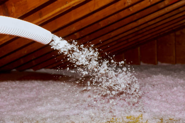 Insulation Inspection Services in Franklinville, NC