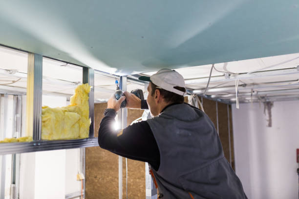 Trusted Franklinville, NC Insulation Contractor Experts