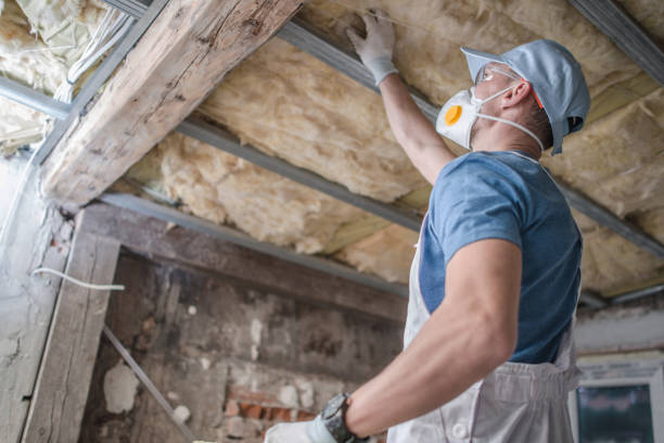 Best Insulation Removal  in Franklinville, NC