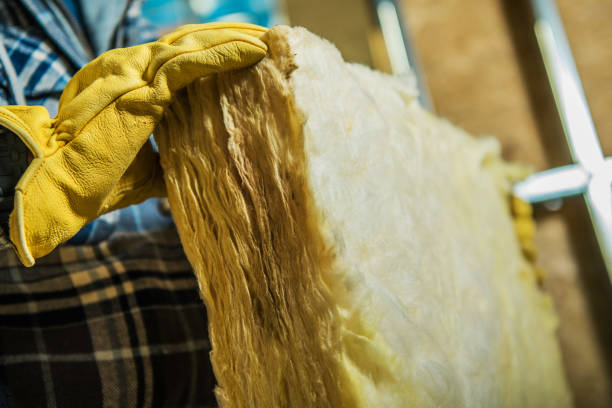 Best Local Insulation Services  in Franklinville, NC