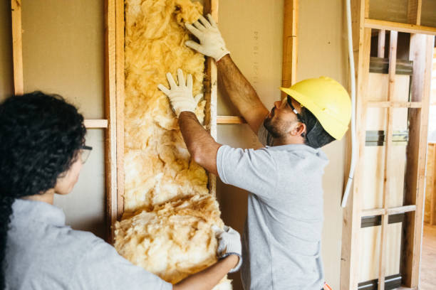 Best Attic Insulation Installation  in Franklinville, NC