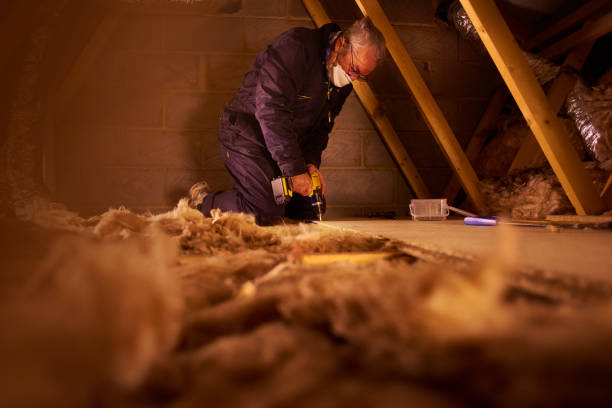 Best Garage Insulation Installation  in Franklinville, NC